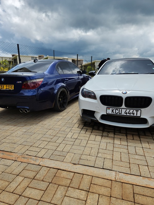 Masha Birya Profile Picture