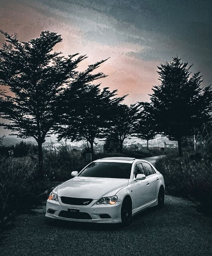 Toyota Mark X's Image